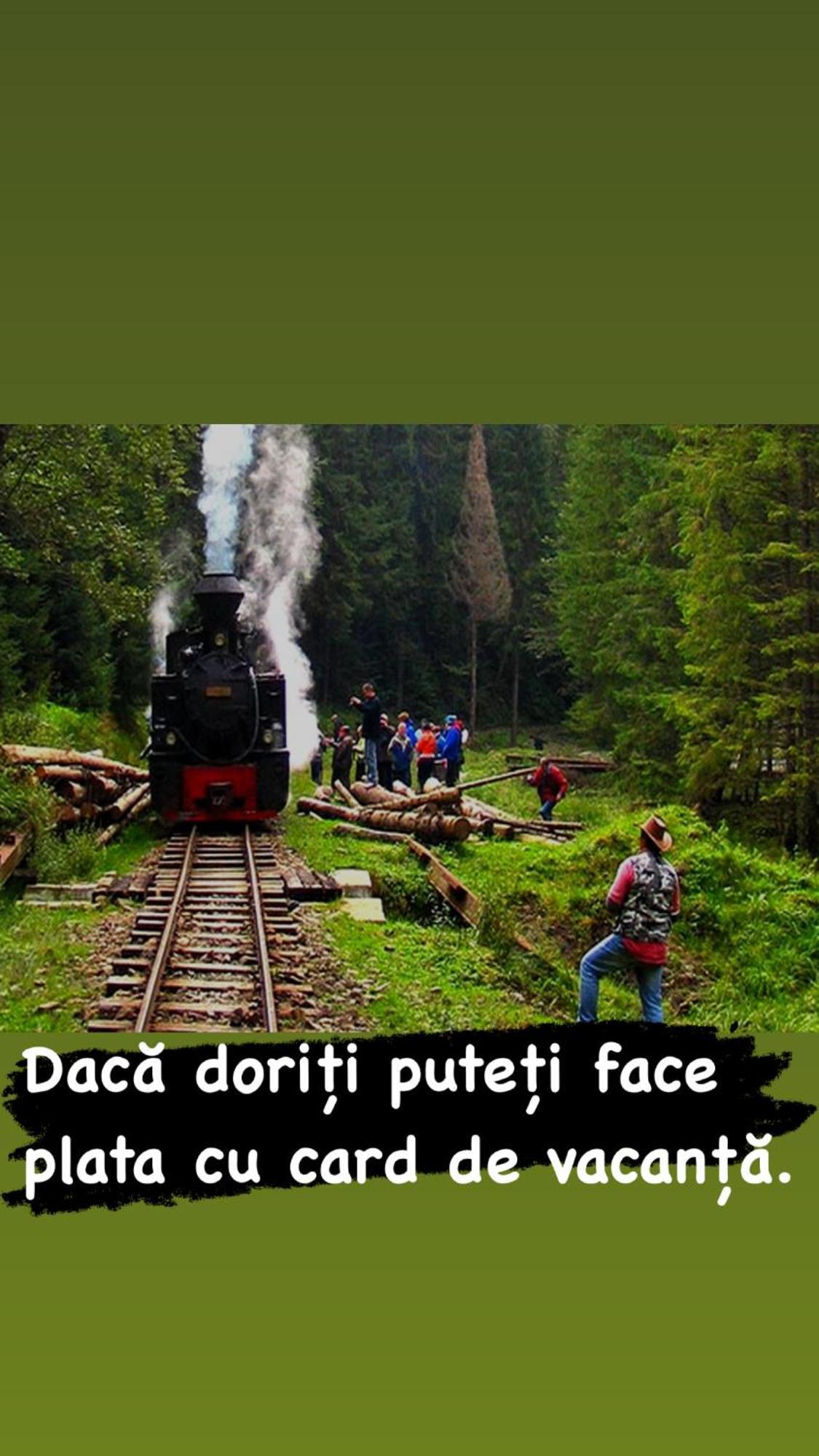 Pensiunea Iza Viseu de Jos Dış mekan fotoğraf